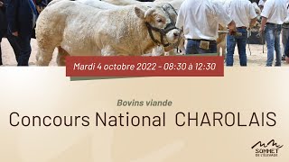 Sommet de lélevage 2022  Concours National CHAROLAIS  04102022 [upl. by Attenehs766]