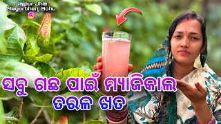 ସବୁ ଗଛ ପାଇଁ ଗୋଟେ ତରଳ ଖତMagical Liquid Fertilizer For Flowering Plant gardening organic winter [upl. by Eilram]