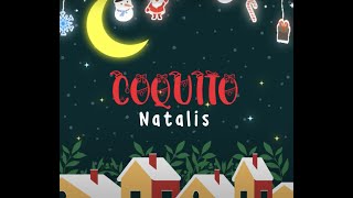 Natalis  Coquito Official Lyric Video [upl. by Schofield474]