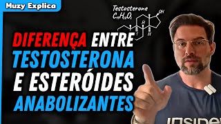 ENTENDA A DIFERENÇA ENTRE TESTOSTERONA E ESTERÓIDES ANABOLIZANTES  Muzy Explica [upl. by Maharba]