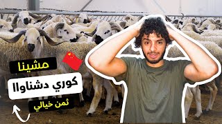 اجي تشوف لحولي شحال لقيناه داير في شنوااا عيد الاضحى في الصين طالب مغربي 🔥😱🇲🇦🇨🇳 [upl. by Ayamahs]