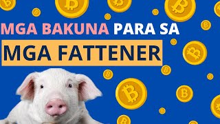 MGA BAKUNA PARA SA MGA FATTENER PIGGERY BABUYAN [upl. by Hamon326]