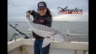 California Delta Sturgeon Fishing [upl. by Pace]