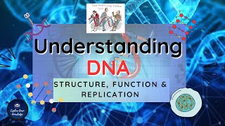 Understanding DNA Structure Function and Replication Explained [upl. by Cathryn]