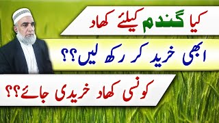 Which fertilizers should be arranged in time for Wheat crop  Crop Reformer [upl. by Ephrayim]