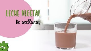 LECHE VEGETAL de avellanas casera fácil [upl. by Annahsal542]