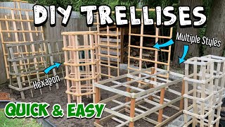 How to Make a Trellis Multiple Options and Skill Levels Full Tutorials amp Quick Walkthroughs [upl. by Letsou798]