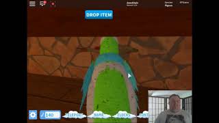 All Bird Calls Original Videos Roblox Feather Family [upl. by Lewap]