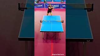 GREAT POINT  Drop Shot tabletennisstrokes [upl. by Ynnus]