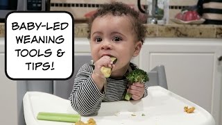 Baby Led Weaning for Beginners Review of Baby Led Weaning [upl. by Bautista]