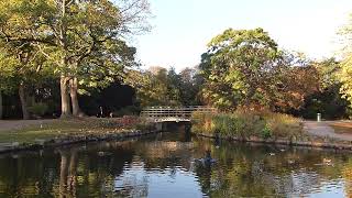 Relaxing early morning at the pond [upl. by Danielson]