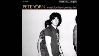 Pete Yorn  Panic Smiths Cover [upl. by Viccora]