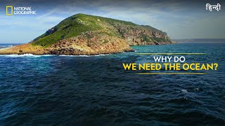 Why Do We Need the Ocean  Hostile Planet  Full Episode S01E02  हिन्दी  National Geographic [upl. by Frost]