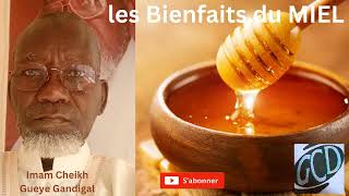 🚨🚨Les bienfaits du Miel par Imam Cheikh GUEYE GANDIGAL [upl. by Llemar]