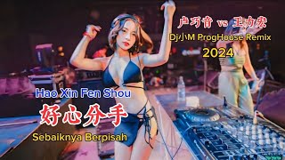 卢巧音 vs 王力宏  好心分手  Dj小M ProgHouse Remix 2024  Hao Xin Fen Shou  Sebaiknya Berpisah dj抖音版2024 [upl. by Reivilo184]