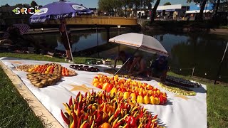 Mozaïeken Fruitcorso Tiel [upl. by Angelico]