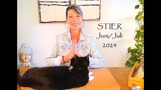 🌟STIER🌟 JuniJuli 2024  WOW Alle 4 Azen soulsearch tarot stier [upl. by Salvucci829]