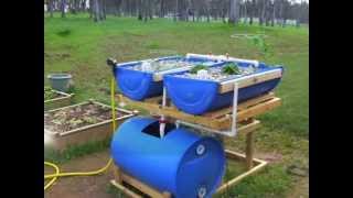 Homemade Aquaponics Fish Tank  Aquaponics Fish Tank To Grow Bed Ratio [upl. by Aznofla803]