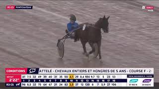 EXTRAIT  Corse hippique  Equidia Live [upl. by Eiveneg]