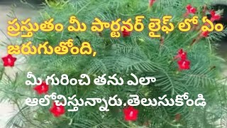 💯❤️మీ పార్టనర్ లైఫ్ లో ప్రస్తుతం ఏమేమి జరుగుతున్నాయితన ఆలోచనలు ఏంటి మీకోసం [upl. by Coleman]