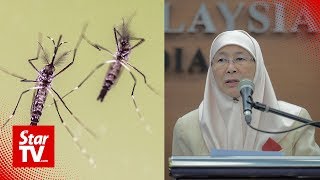 DPM Govt plans to introduce two new ways to curb dengue [upl. by Bernelle511]