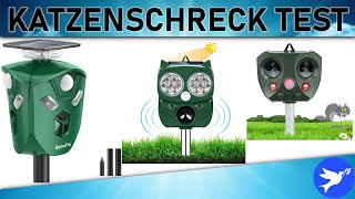 ᐅ Katzenschreck Test 2023  Die besten Katzenschrecks vorgestellt [upl. by Junius]