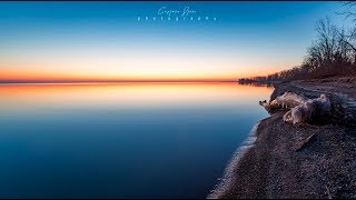 Magee Marsh Lake Erie MI [upl. by Llebasi]