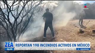 La Conafor reporta 198 incendios activos en México  Noticias con Francisco Zea [upl. by Draned987]