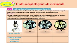 Études morphologiques des sédiments svt 1 bac sc ex option français شرح بالداريجة [upl. by Tris]