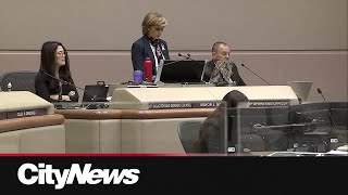 Calgary city council react to party affiliation legislation [upl. by Sawyere]