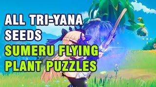 All TriYana Seeds Sumeru Flying plant Puzzles 【Genshin Impact】 [upl. by Anailuj]