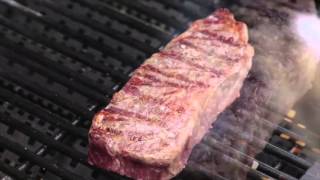 How to Grill a Wagyu Ribeye [upl. by Namlak]