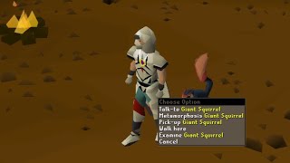 The grind for Graceful is done Ep 2 [upl. by Armmat911]