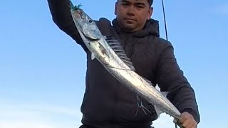 Hawkes Bay Surfcasting [upl. by Atinuahs]