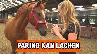 KAN PARINO FLEMEN  PaardenpraatTV [upl. by Nehgaem]