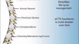 eCTD Submissions Electronic Common Technical Document with CTI [upl. by Orian]