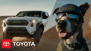 “Celebration”  The 2024 Tacoma  Toyota [upl. by Divadleahcim]