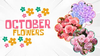 October flowers 7 most beautiful and vibrant flowers blooming in October flower october [upl. by Ardnatal429]