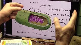 Digestive Issues and Diseases and even Mood Linked to Enzymes From Gut Bacteria [upl. by Nitsug316]