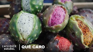 Por qué la pitaya fruta del dragón mexicana es tan cara  Qué caro  Business Insider [upl. by Teraj]