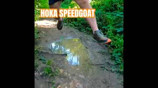 HOKA SPEEDGOAT 6 REVIEW  Trail Shoe  shorts hoka speedgoat6 runningshoes running hikingshoe [upl. by Sllew197]