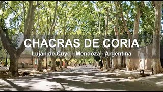 Calles y Ciclovías de Chacras de Coria  Luján de Cuyo  Mendoza  Argentina [upl. by Rebma]