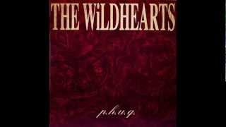 THE WiLDHEARTS  NiTA NiTRO [upl. by Nnaira]