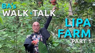 BAs Walk amp Talk at Lipa Farm Part 1 [upl. by Ahsekim]