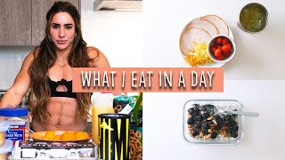 What I Eat In A Day As A World Record Holding Powerlifter  Meal Ideas [upl. by Eiralam]