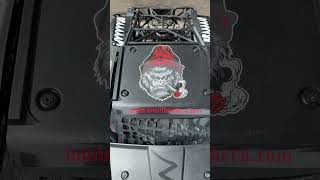 Primal RC Raminator Losi MTXL Losi 5T 20 [upl. by Sansone]