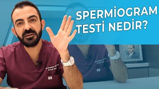 Spermiogram Testi Nedir  Hangi Durumlarda Ve Nasıl Yapılır  Merak Ettiğiniz Her Şey [upl. by Nauq]