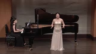 Suleika 2  Franz Schubert [upl. by Stanwin]