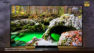 KD65SD8505 Sony téléviseur 4k incurvé pour plus dimmersion [upl. by Alpheus210]