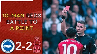 BRIGHTON 22 NOTTINGHAM FOREST  Match Reaction [upl. by Vanessa]